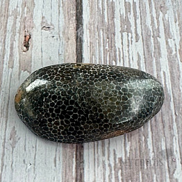 Schwarze getrommelte fossile Koralle Marokko 7