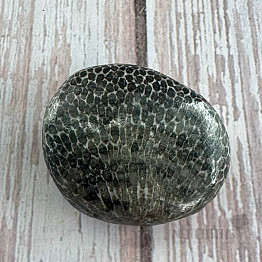 Schwarze getrommelte fossile Koralle Marokko 9