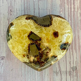 Polished Septoria Madagascar large Heart P8-11
