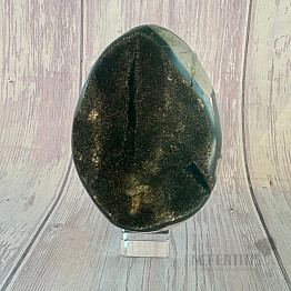 Septoria Dragon Egg Madagascar OS-10