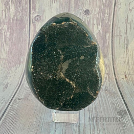 Septoria Dragon Egg Madagascar OS-7