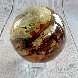 Petrified Wood Sphere Madagascar 14