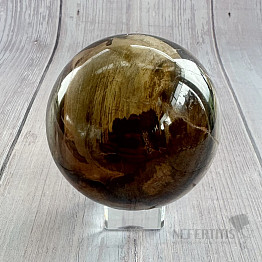 Petrified Wood Sphere Madagascar 15