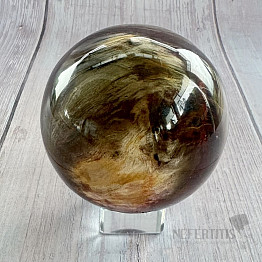 Versteinerte Holzkugel Madagaskar 16