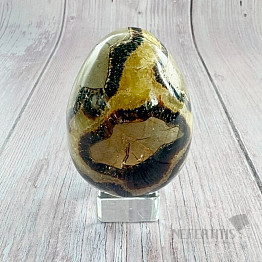 Septaria egg home decoration 25