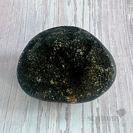 Septoria drusa Madagascar 29