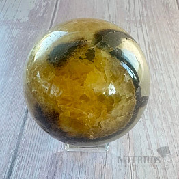 Septárie leštěná koule Madagaskar 40