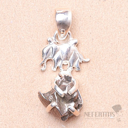Meteorit-Anhänger Campo del Cielo Silber Ag 925 Y5660