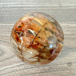Petrified Wood Sphere Madagascar 18