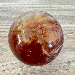 Petrified Wood Sphere Madagascar 19