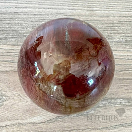 Petrified Wood Sphere Madagascar 20