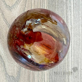 Petrified Wood Sphere Madagascar 22