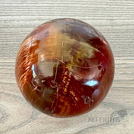 Petrified Wood Sphere Madagascar 23