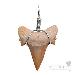 Shark tooth pendant