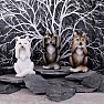 Sada sošek tří Moudrých vlků