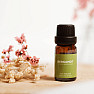 By Nefertitis Bergamot 100% esenciální olej