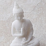 Buddha s vázou Amrity