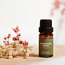 By Nefertitis Citrónová tráva 100% esenciální olej 10 ml