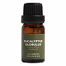 By Nefertitis Eucalyptus globulus 100% esenciální olej 10 ml