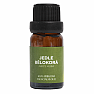 By Nefertitis Jedle bělokorá 100% esenciální olej 10 ml