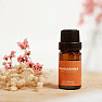 By Nefertitis Mandarinka 100% esenciální olej 10 ml