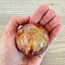 Zkamenělé dřevo koule Madagaskar 19